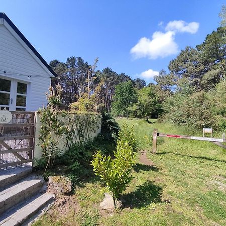 Chalet Cosy, Plages A Pieds. Morbihan. Plouhinec  Exterior foto