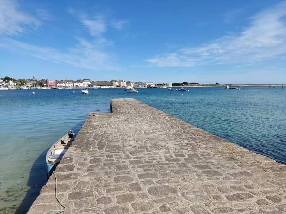 Chalet Cosy, Plages A Pieds. Morbihan. Plouhinec  Exterior foto